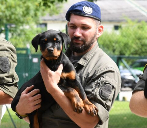 Milit&auml;rhundetaufe in Kaisersteinbruch &ndash; &copy;Patrick Huber