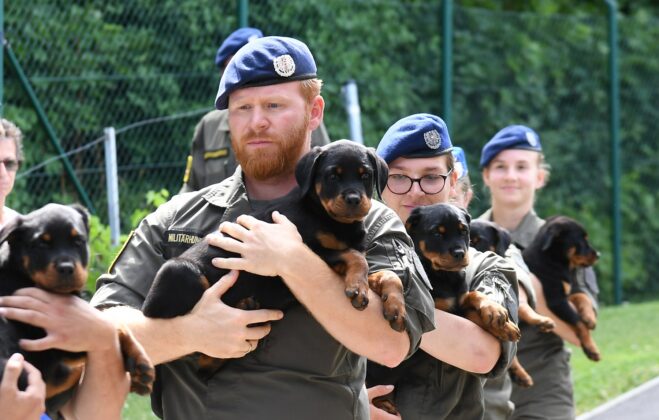 Milit&auml;rhundetaufe in Kaisersteinbruch &ndash; &copy;Patrick Huber