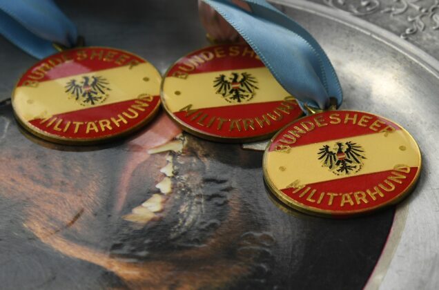 Milit&auml;rhundetaufe in Kaisersteinbruch &ndash; &copy;Patrick Huber