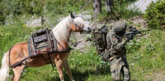 Support animal center: Final exercise for basic military service personnel ©Bundesheer/Steger