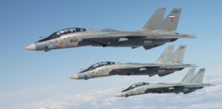 Israel attacked the last active F-14 Tomcats ©TANSIM