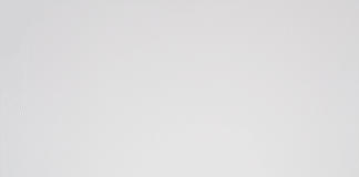 Glasses in TAZ new: Invictus Legio Mantis Flex Frame Die neue Mantis