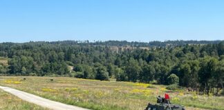 Melker Pioniere bilden im scharfen Schuss aus Husar und Pandur Evolution im scharfen Schuss bei den Melker Pionieren – ©Bundesheer