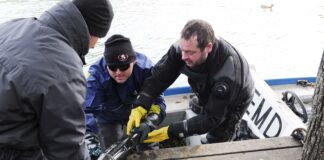 Entminungsdienst stellt über 17 Tonnen Kriegsrelikte sicher Entminungsdienst stellt Kriegsrelikte sicher -©Bundesheer/Hartl