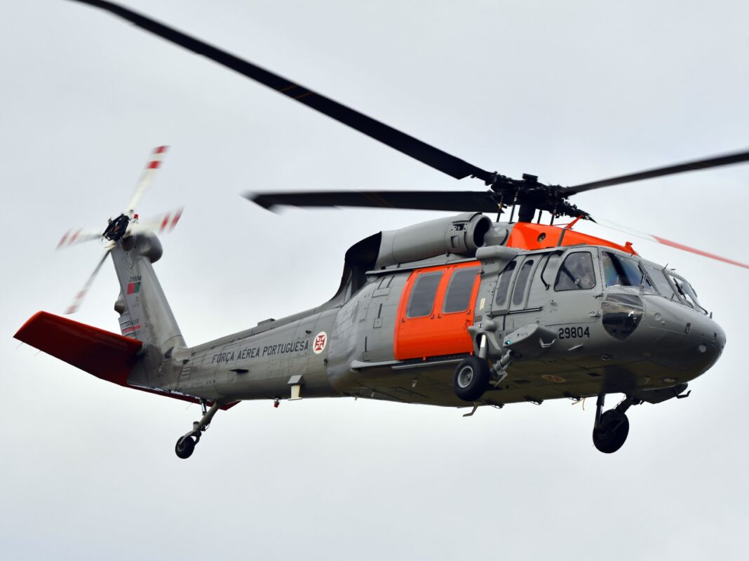 Portugiesischer Black Hawk – ©Alexander Schlacher Portugiesischer Black Hawk – ©Alexander Schlacher