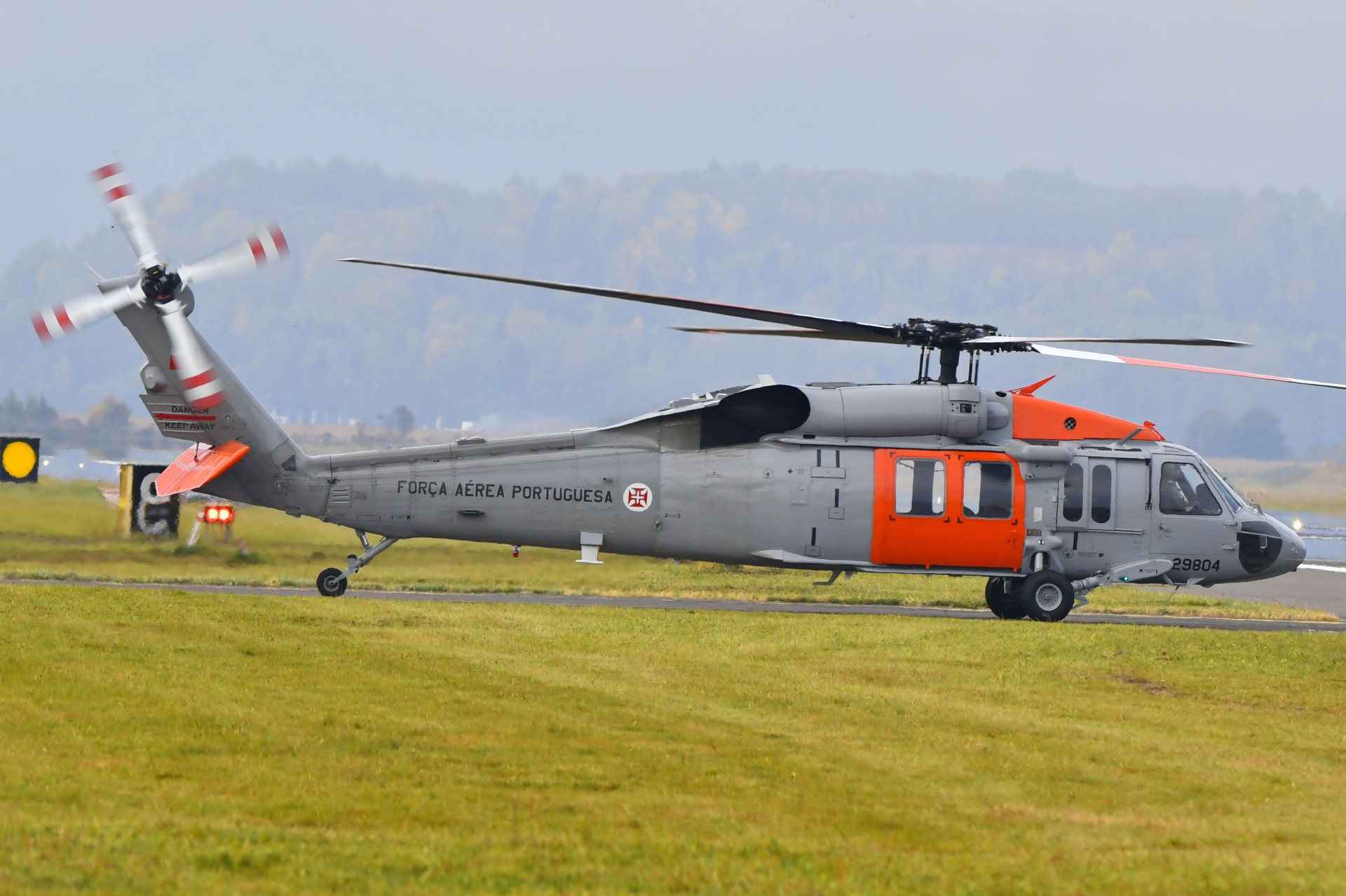 Portugiesischer Black Hawk – ©Alexander Schlacher Portugiesischer Black Hawk – ©Alexander Schlacher