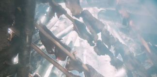 Räucherfleisch: Survival Jerky im Wald herstellen Der Bau eines Räucherofens in der freien Natur. ©Jan Dostal