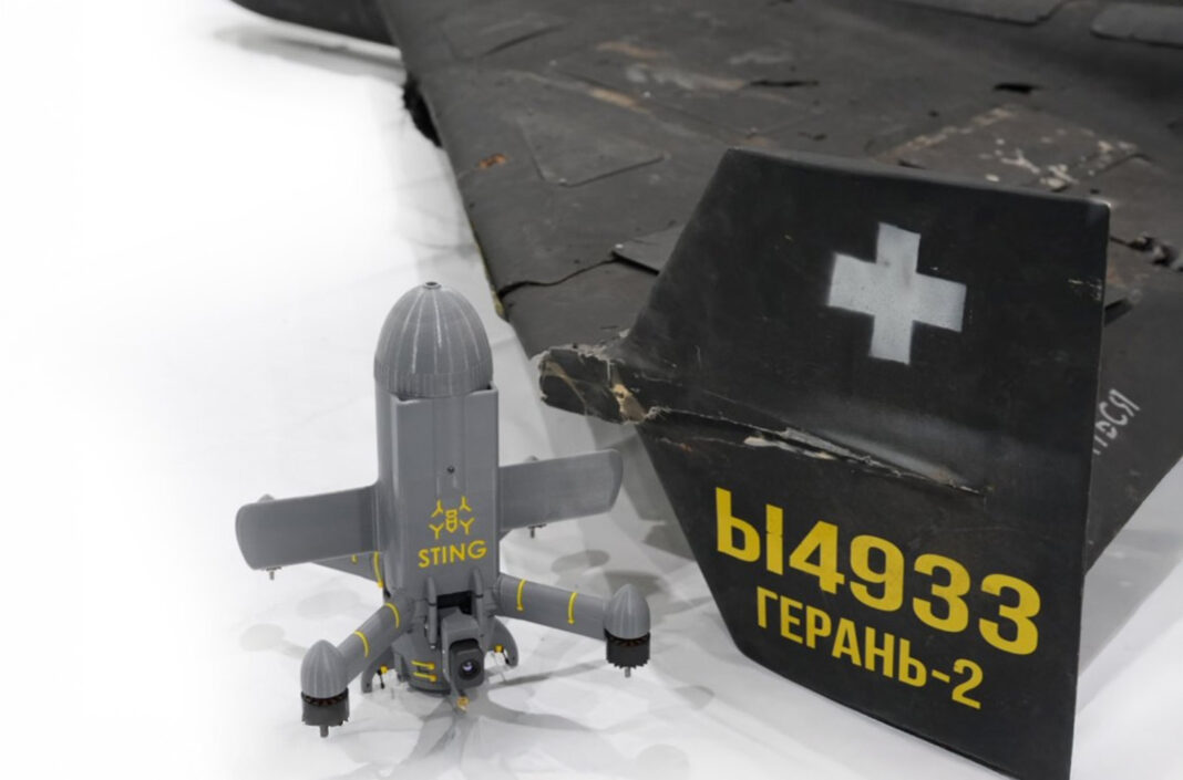 Sting-Abfangdrohne – ©Wild Hornets