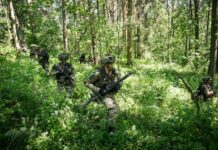 Übung „Waldviertel 25”: Dschungelkampf in Allentsteig Dschungel Kampf in Allentsteig ©Sebastian Freiler