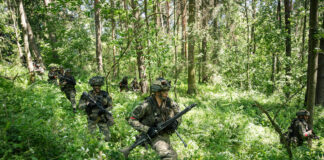 Jungle fight in Allentsteig ©Sebastian Freiler