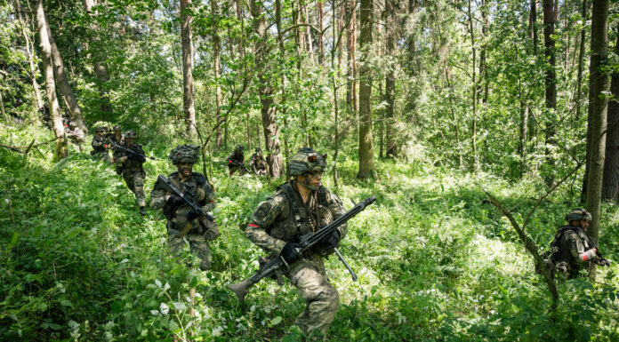 Übung „Waldviertel 25”: Dschungelkampf in Allentsteig Dschungel Kampf in Allentsteig ©Sebastian Freiler